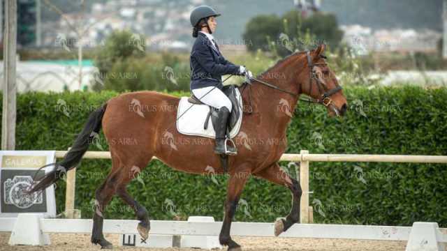 DOMA02032025S-232