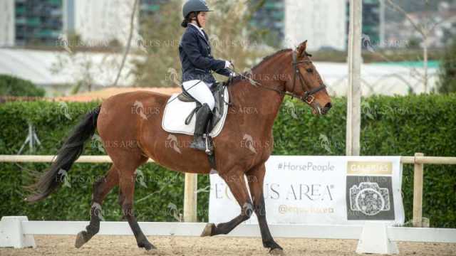 DOMA02032025S-233
