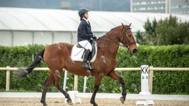 DOMA02032025S-234
