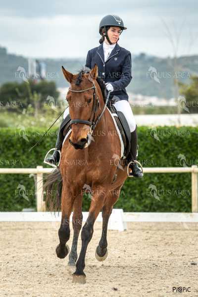 DOMA02032025S-235