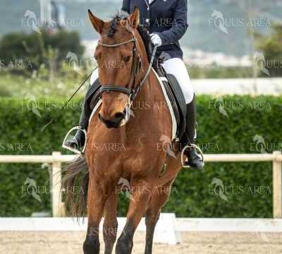 DOMA02032025S-235