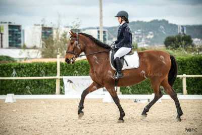 DOMA02032025S-239