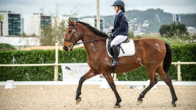 DOMA02032025S-239