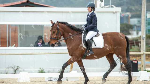 DOMA02032025S-240