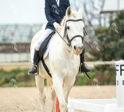 DOMA02032025S-245