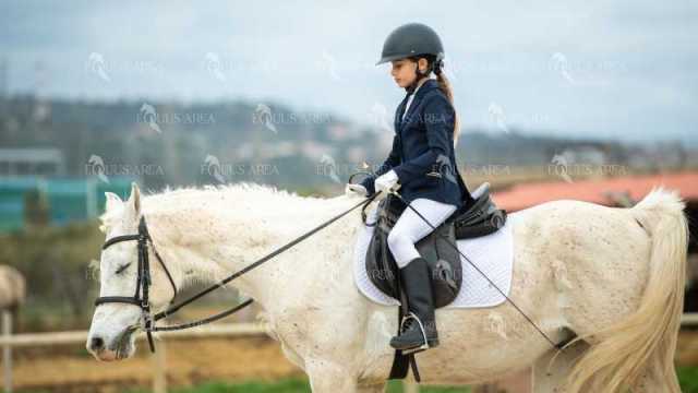 DOMA02032025S-246