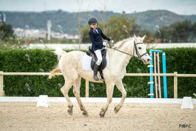 DOMA02032025S-249