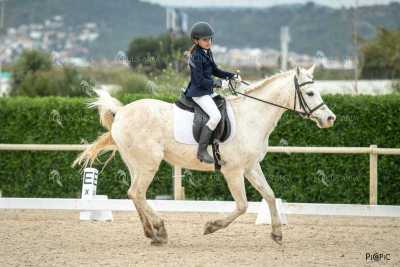 DOMA02032025S-250