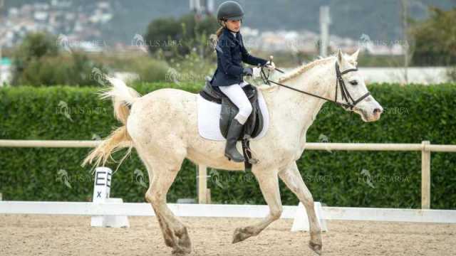 DOMA02032025S-250