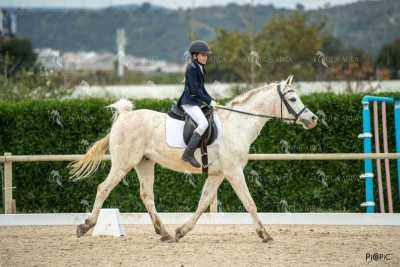 DOMA02032025S-253