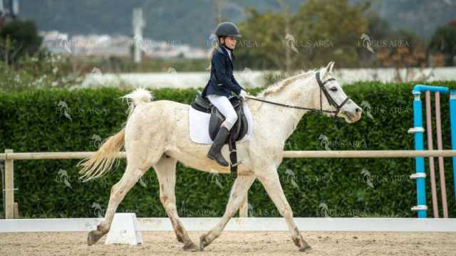 DOMA02032025S-253