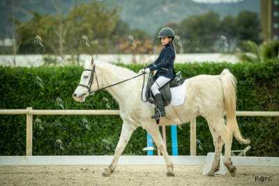 DOMA02032025S-254