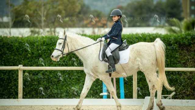 DOMA02032025S-254
