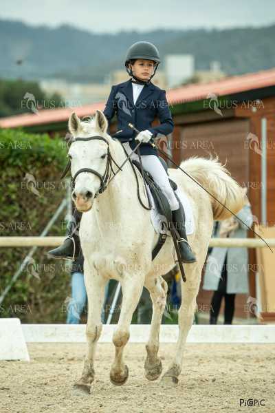 DOMA02032025S-255