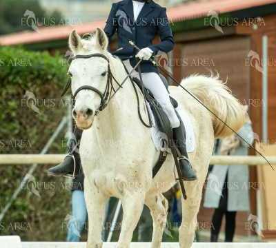 DOMA02032025S-255