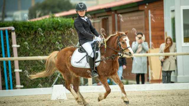 DOMA02032025S-258