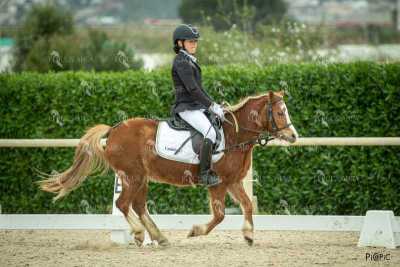 DOMA02032025S-259