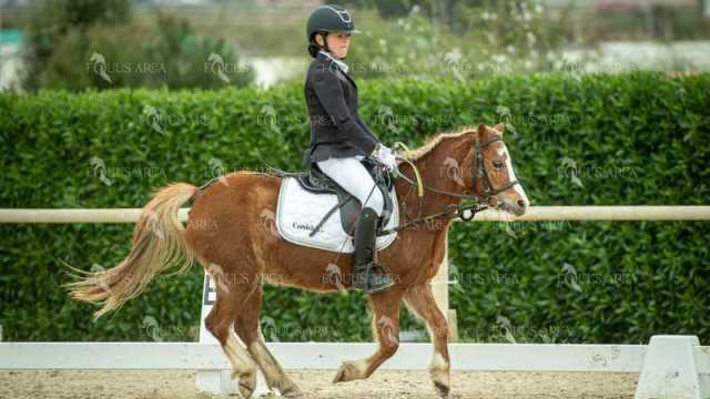 DOMA02032025S-259