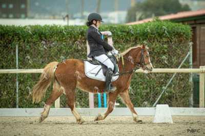 DOMA02032025S-261