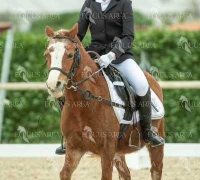 DOMA02032025S-262