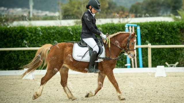 DOMA02032025S-266