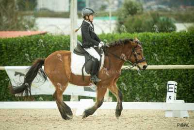 DOMA02032025S-273
