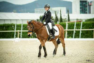 DOMA02032025S-279