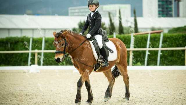 DOMA02032025S-279