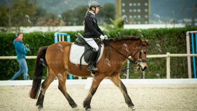 DOMA02032025S-280