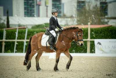 DOMA02032025S-281