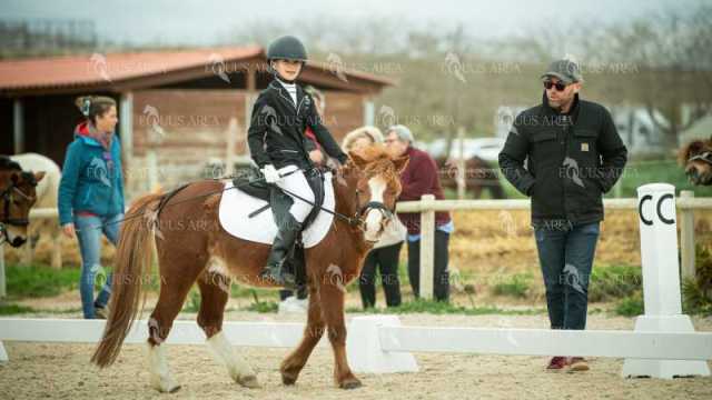 DOMA02032025S-282