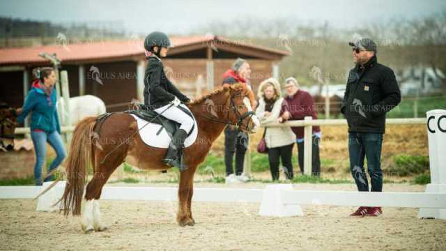 DOMA02032025S-283
