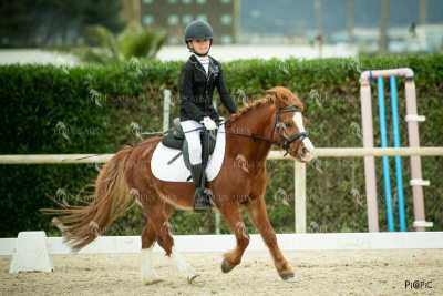 DOMA02032025S-284