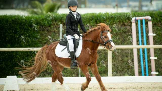 DOMA02032025S-284