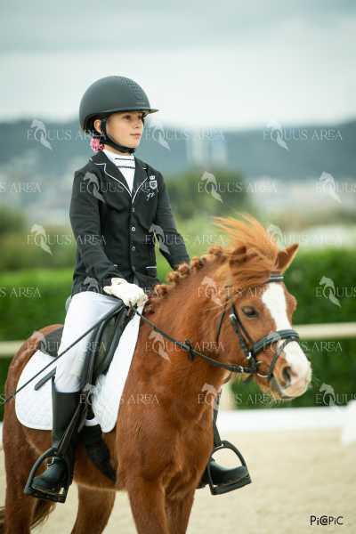 DOMA02032025S-288