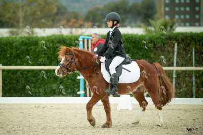 DOMA02032025S-289