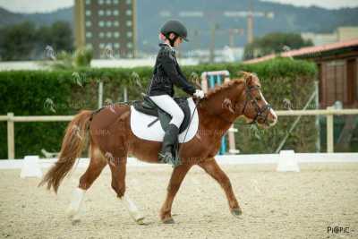 DOMA02032025S-290