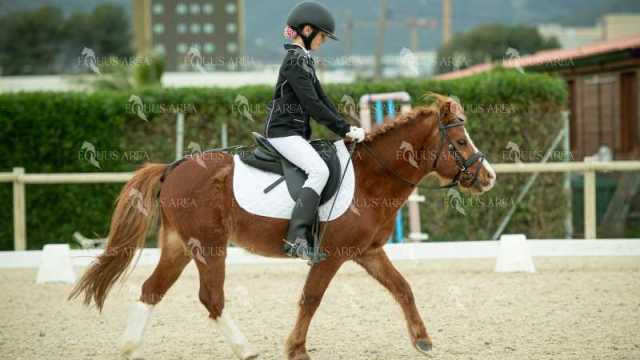 DOMA02032025S-290