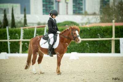 DOMA02032025S-291