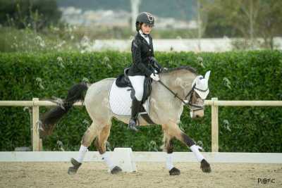 DOMA02032025S-292