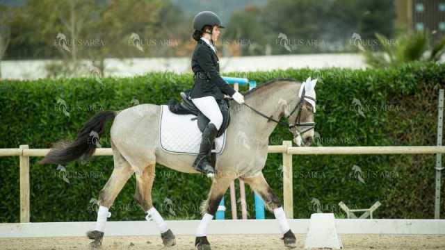 DOMA02032025S-293