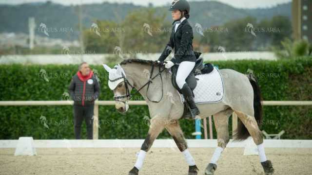 DOMA02032025S-299
