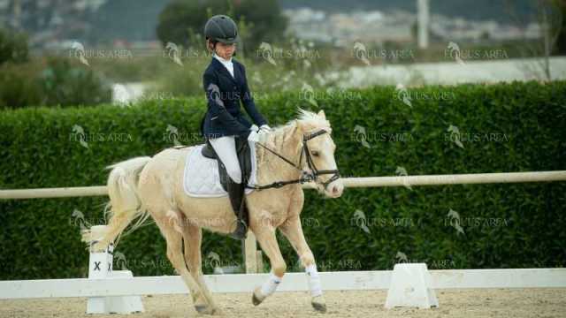 DOMA02032025S-306