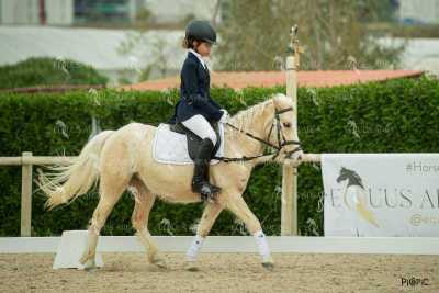 DOMA02032025S-308