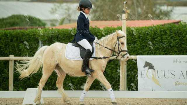 DOMA02032025S-308