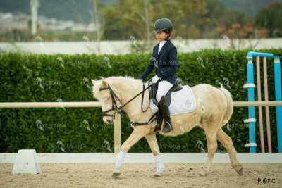 DOMA02032025S-309