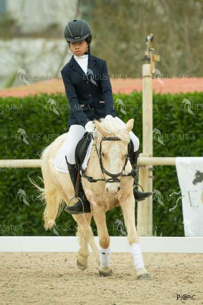 DOMA02032025S-310