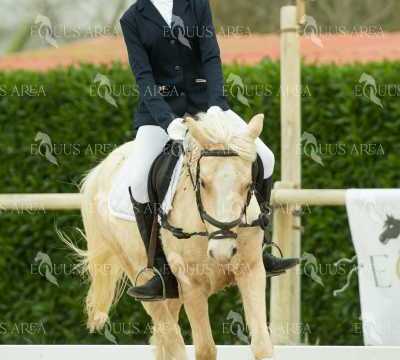 DOMA02032025S-310