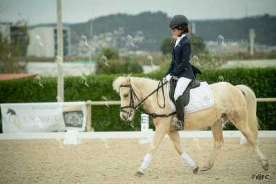 DOMA02032025S-311
