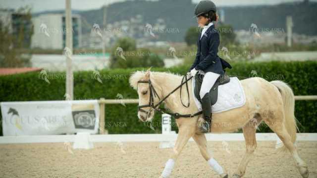 DOMA02032025S-311